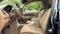 2008 Honda Pilot VP