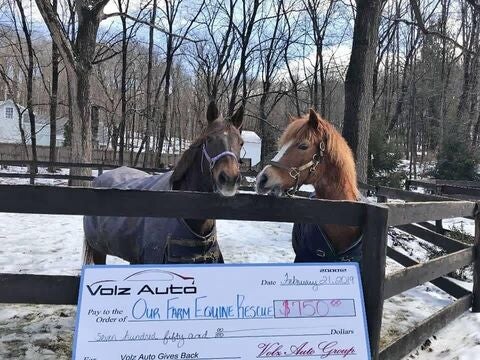 Two horses behind a fence with a donation check in front.