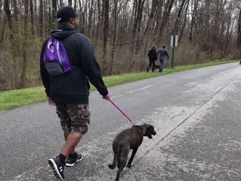 Person walking a dog on a wooded path.